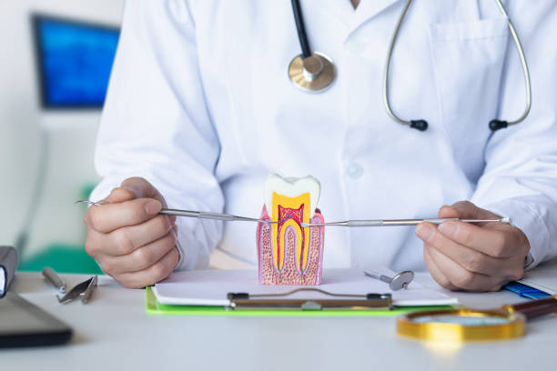 Best Mobile Emergency Dentist in Cashmere, WA